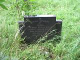 image of grave number 248517